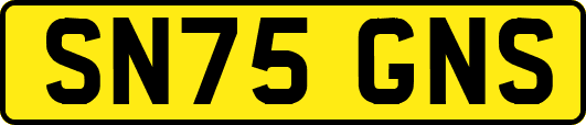 SN75GNS