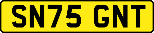 SN75GNT