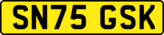 SN75GSK