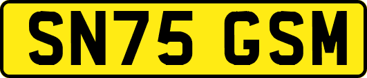 SN75GSM