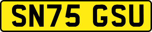SN75GSU