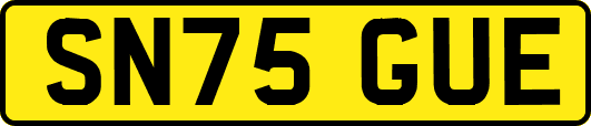 SN75GUE