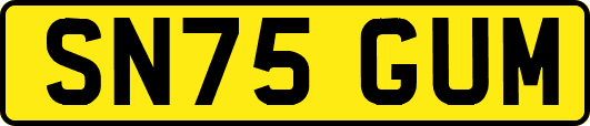 SN75GUM