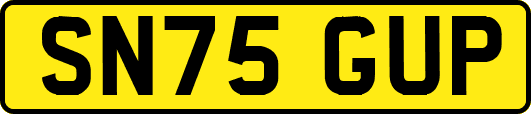 SN75GUP
