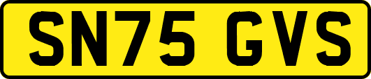SN75GVS