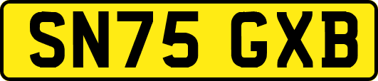 SN75GXB