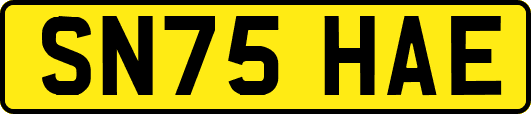 SN75HAE