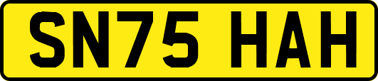 SN75HAH