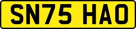 SN75HAO