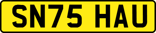 SN75HAU