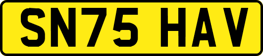 SN75HAV
