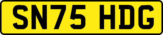 SN75HDG