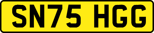 SN75HGG
