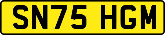 SN75HGM