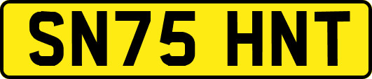SN75HNT