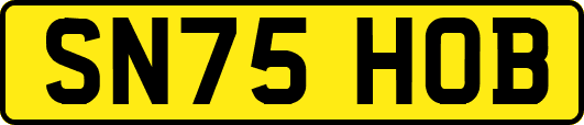 SN75HOB