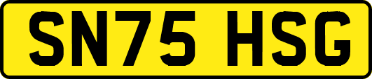 SN75HSG