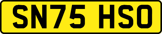 SN75HSO