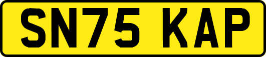 SN75KAP