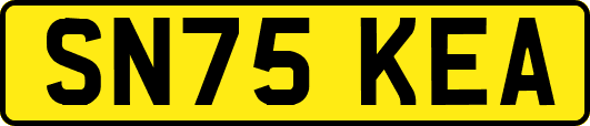 SN75KEA