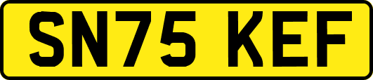 SN75KEF