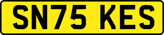 SN75KES