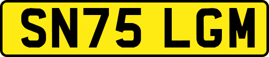 SN75LGM
