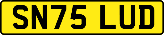 SN75LUD