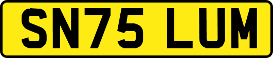 SN75LUM