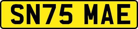 SN75MAE
