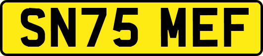 SN75MEF
