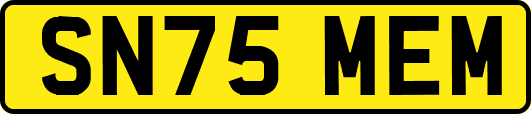 SN75MEM