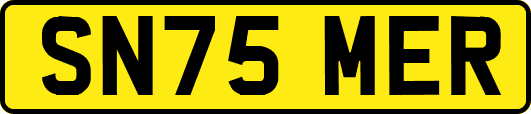 SN75MER