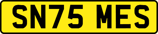 SN75MES