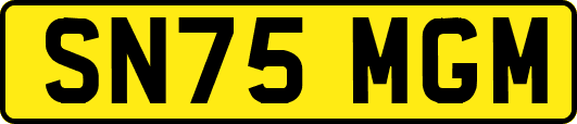SN75MGM