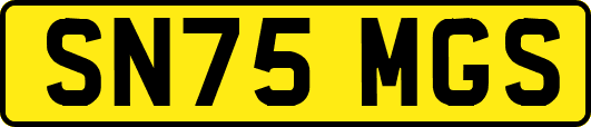 SN75MGS