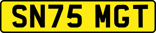 SN75MGT
