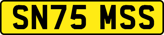 SN75MSS