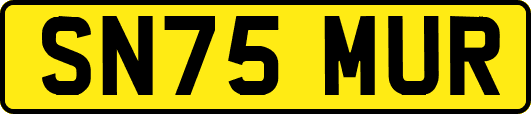 SN75MUR