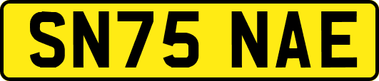SN75NAE