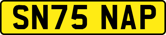 SN75NAP