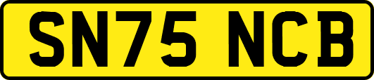 SN75NCB