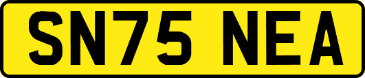SN75NEA