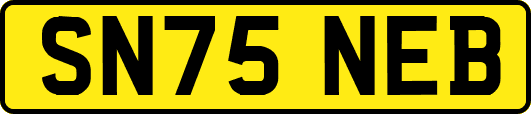 SN75NEB