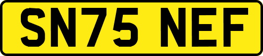 SN75NEF