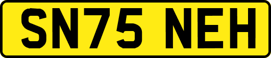SN75NEH