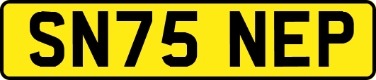 SN75NEP