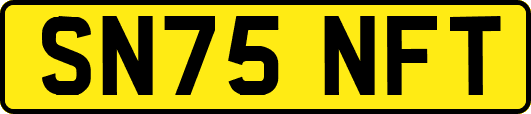 SN75NFT