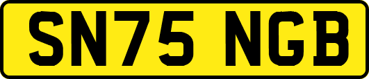 SN75NGB