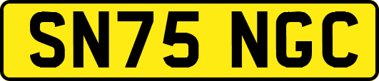 SN75NGC